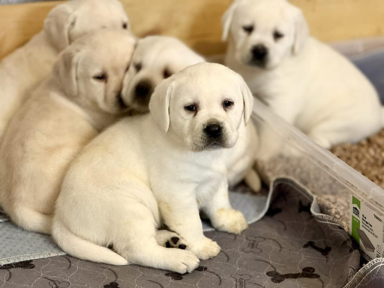 484107478_1195590982575587_1867847815225261148_n