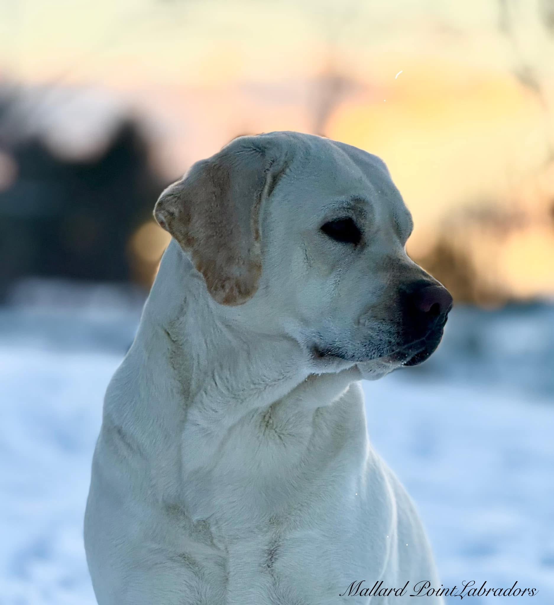 67562ECB-F6D4-476C-989F-DCE148E8280E