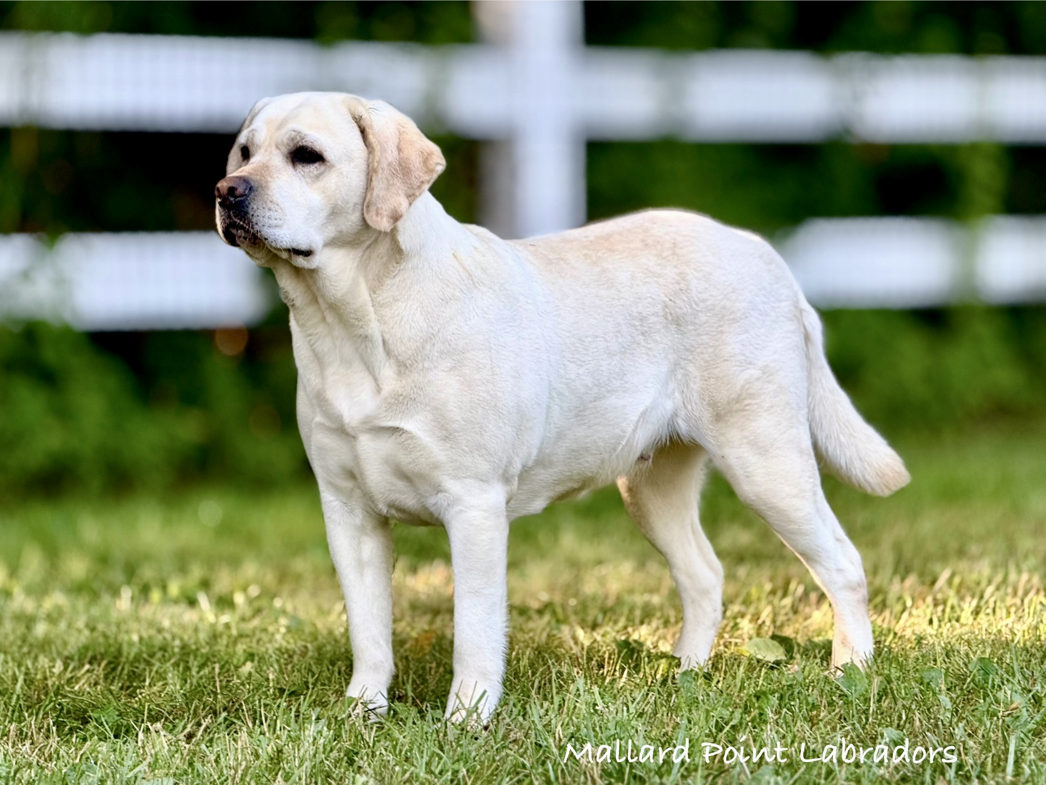 7E0EE530-A8E3-4B12-9388-4A312AE16BE0