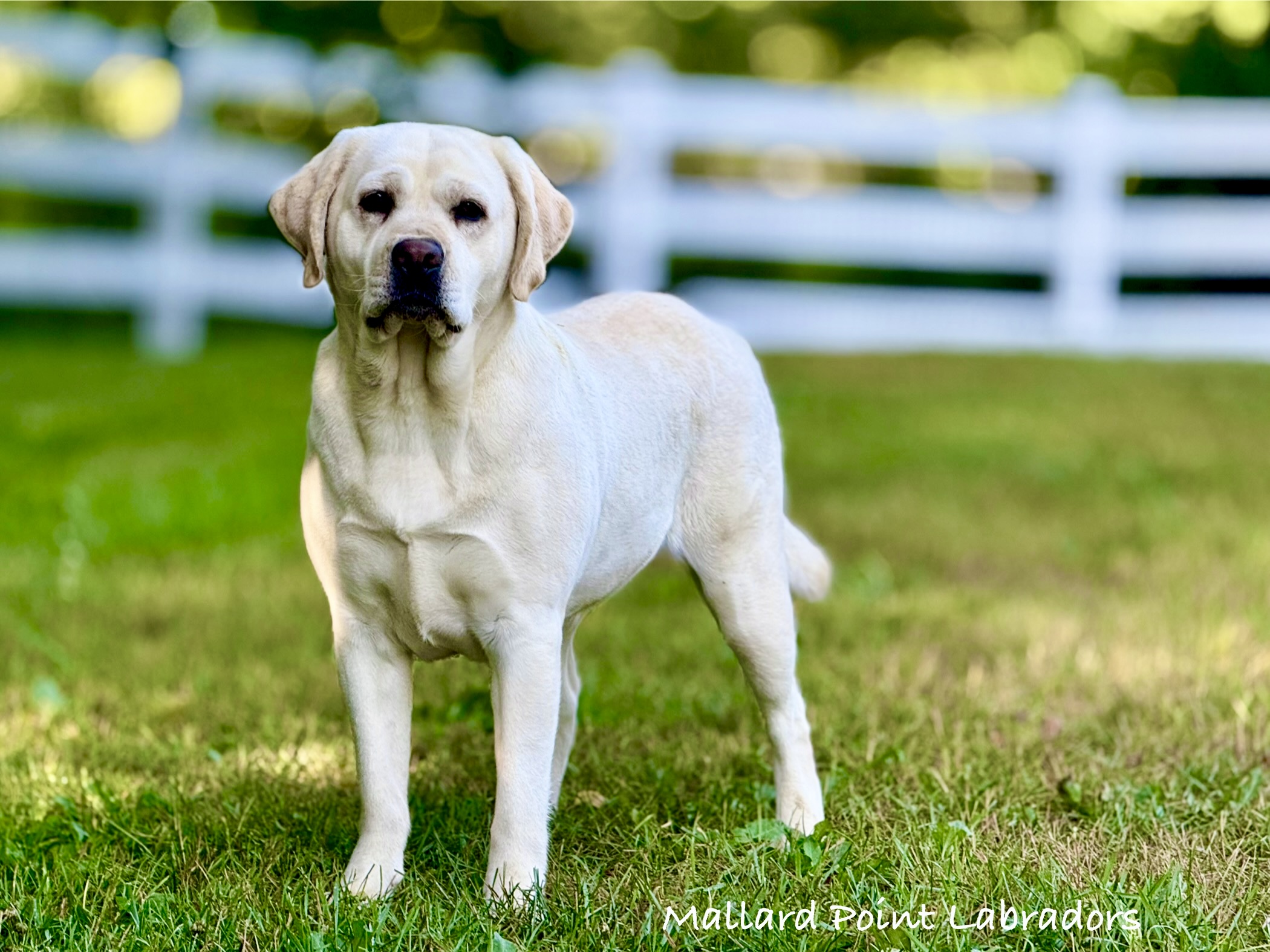 979025D4-BCD2-4ABB-8FFD-212AB99DC028