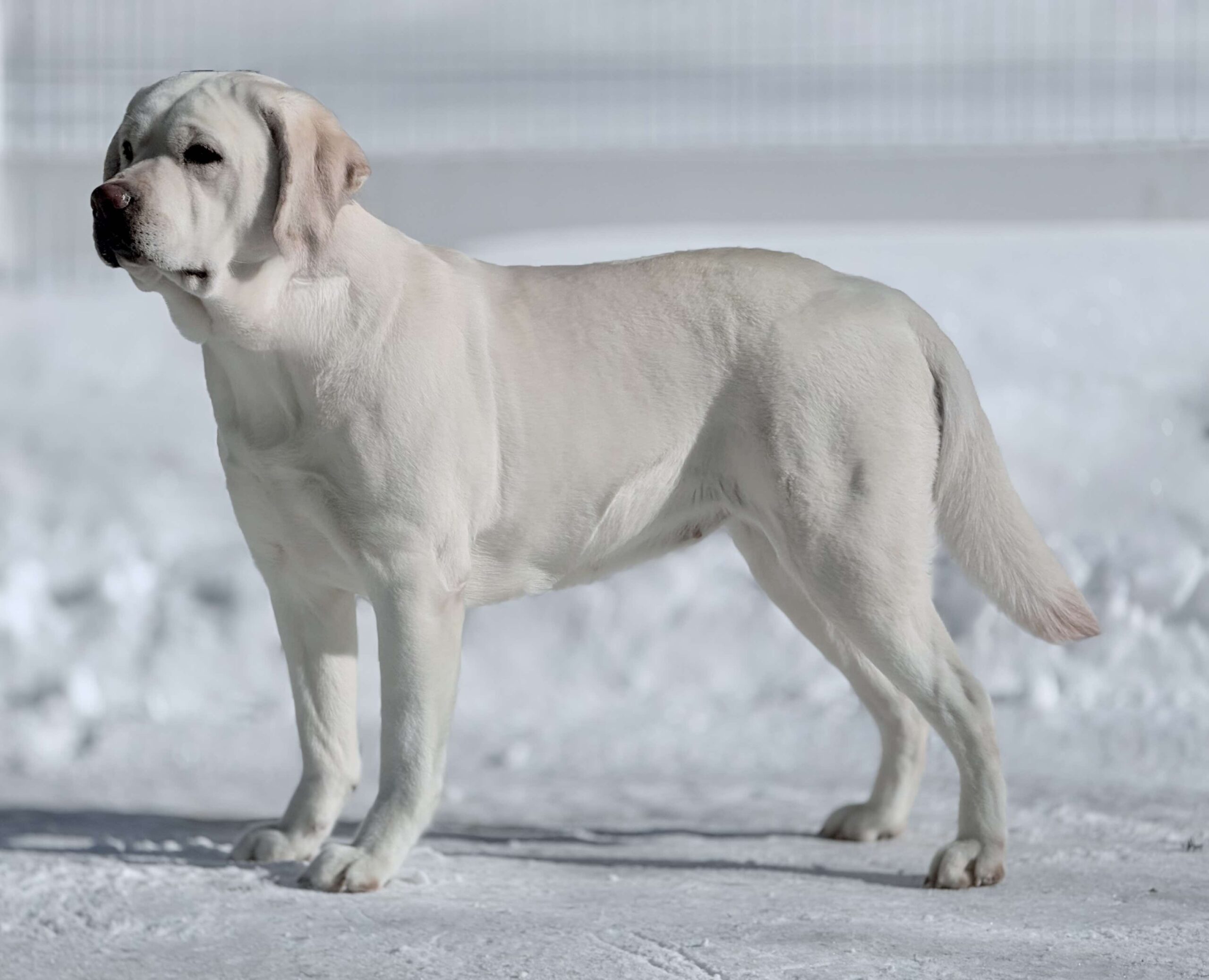 D4E925A0-9F10-4158-A57A-DFB92D585241